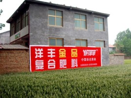 玉溪如何让墙体广告展现最大化效果